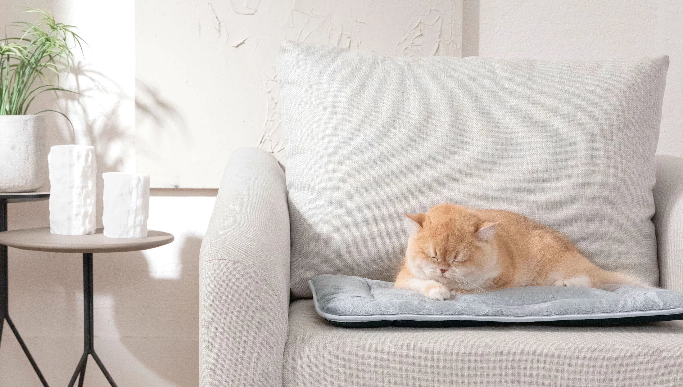 Легло за домашни любимци «Ringo»