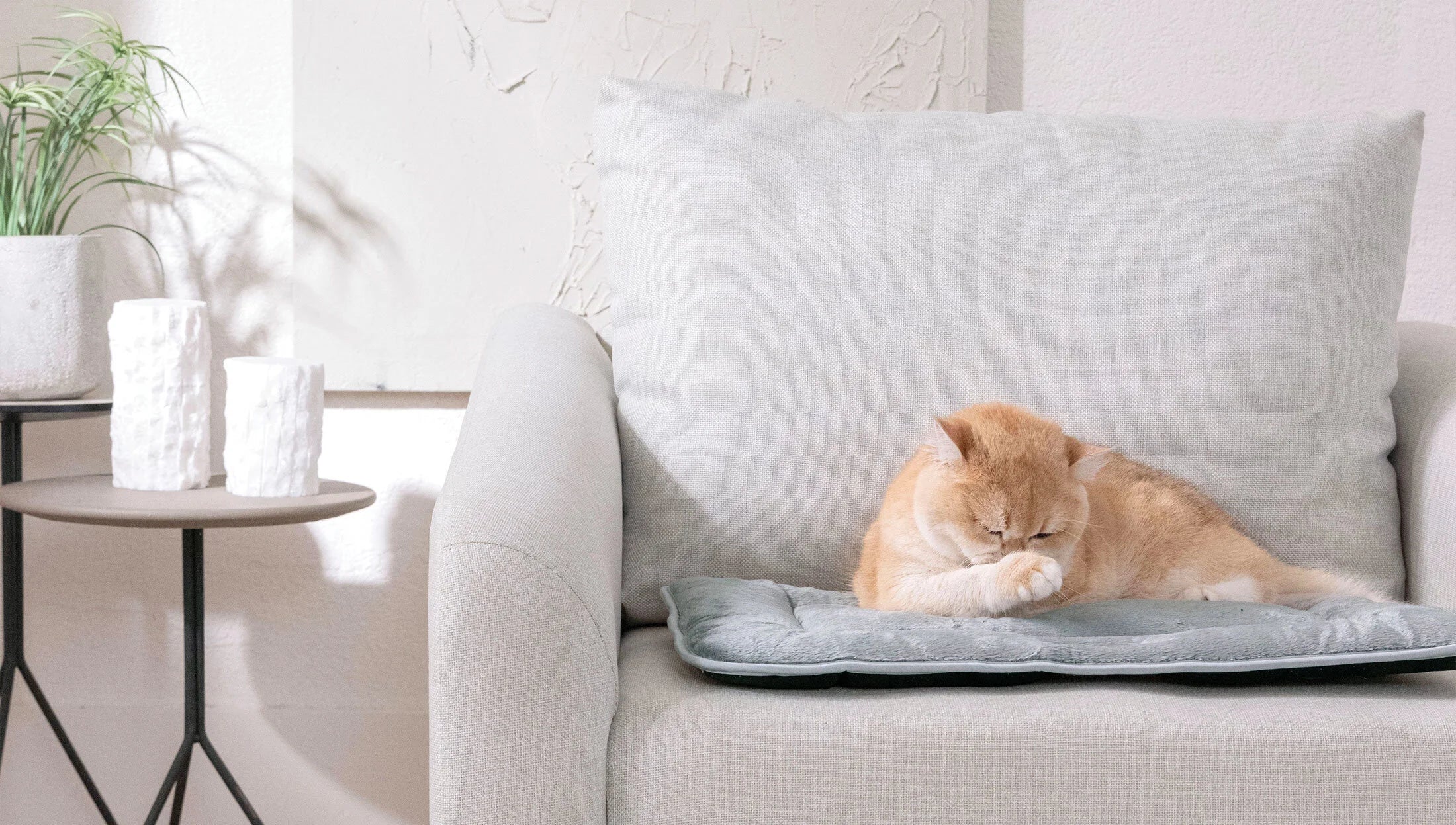 Легло за домашни любимци «Ringo»