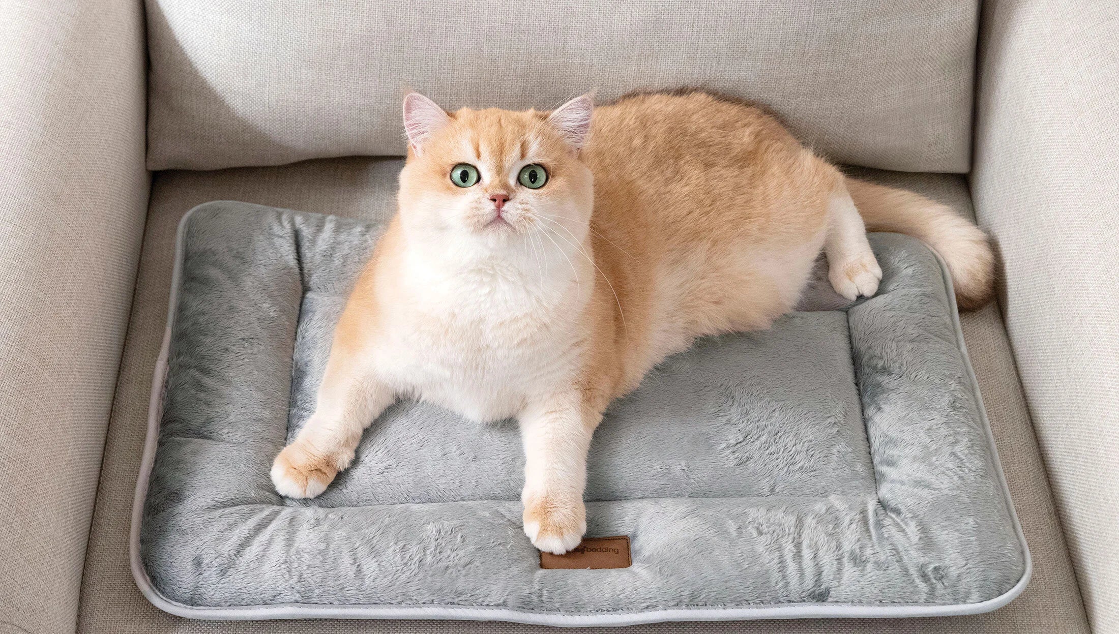 Легло за домашни любимци «Ringo»