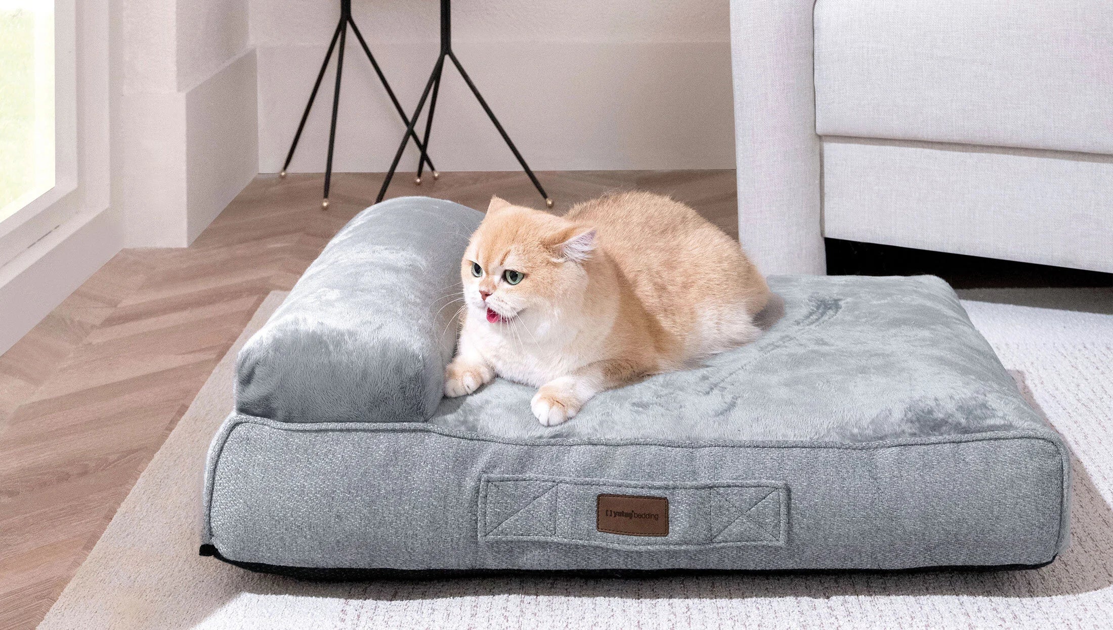 Легло за домашни любимци «Scotty»