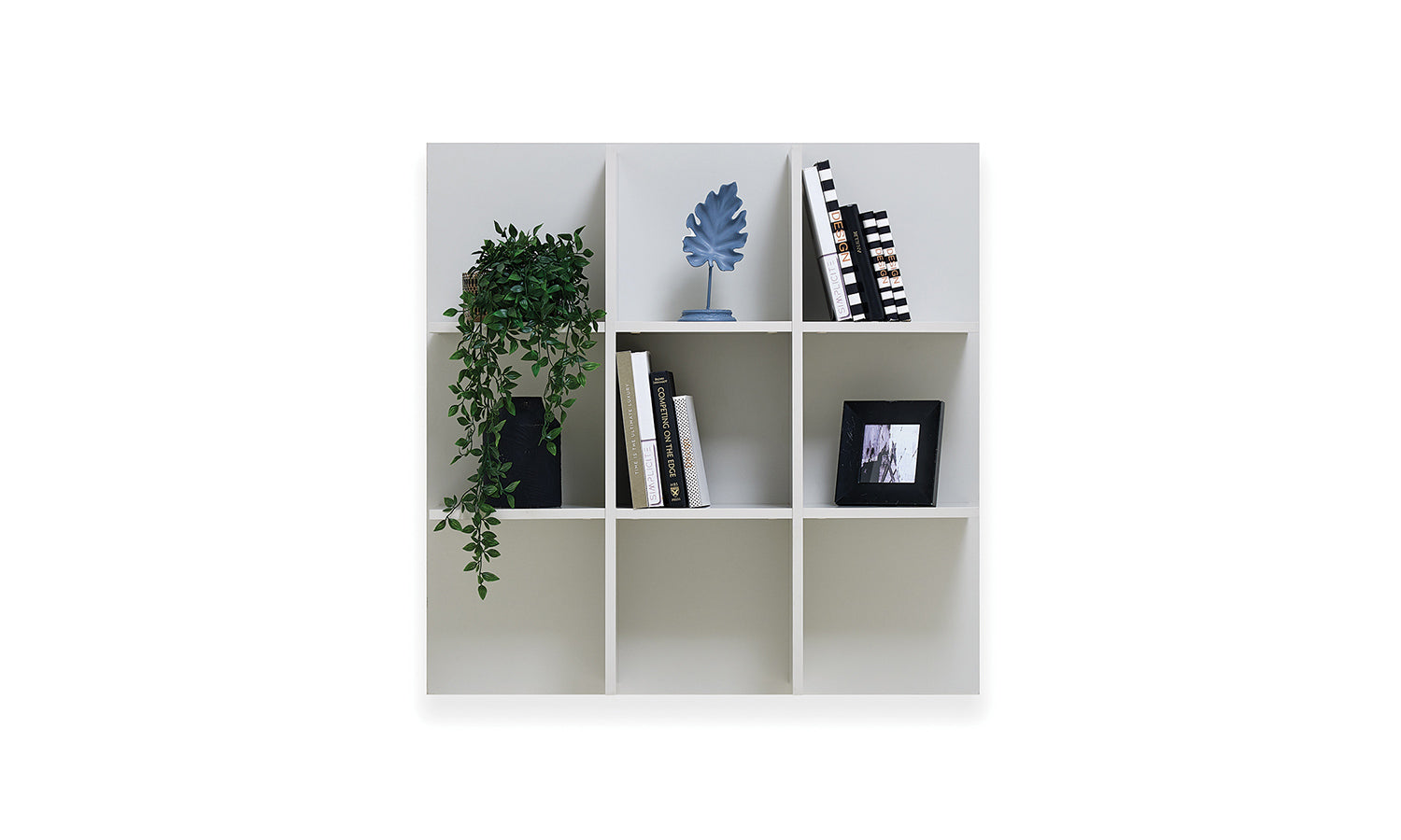 ТВ секция «Morel»