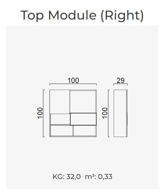 ТВ секция «Hector»