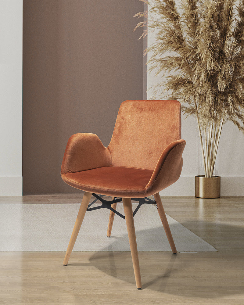 Трапезен стол Pramit