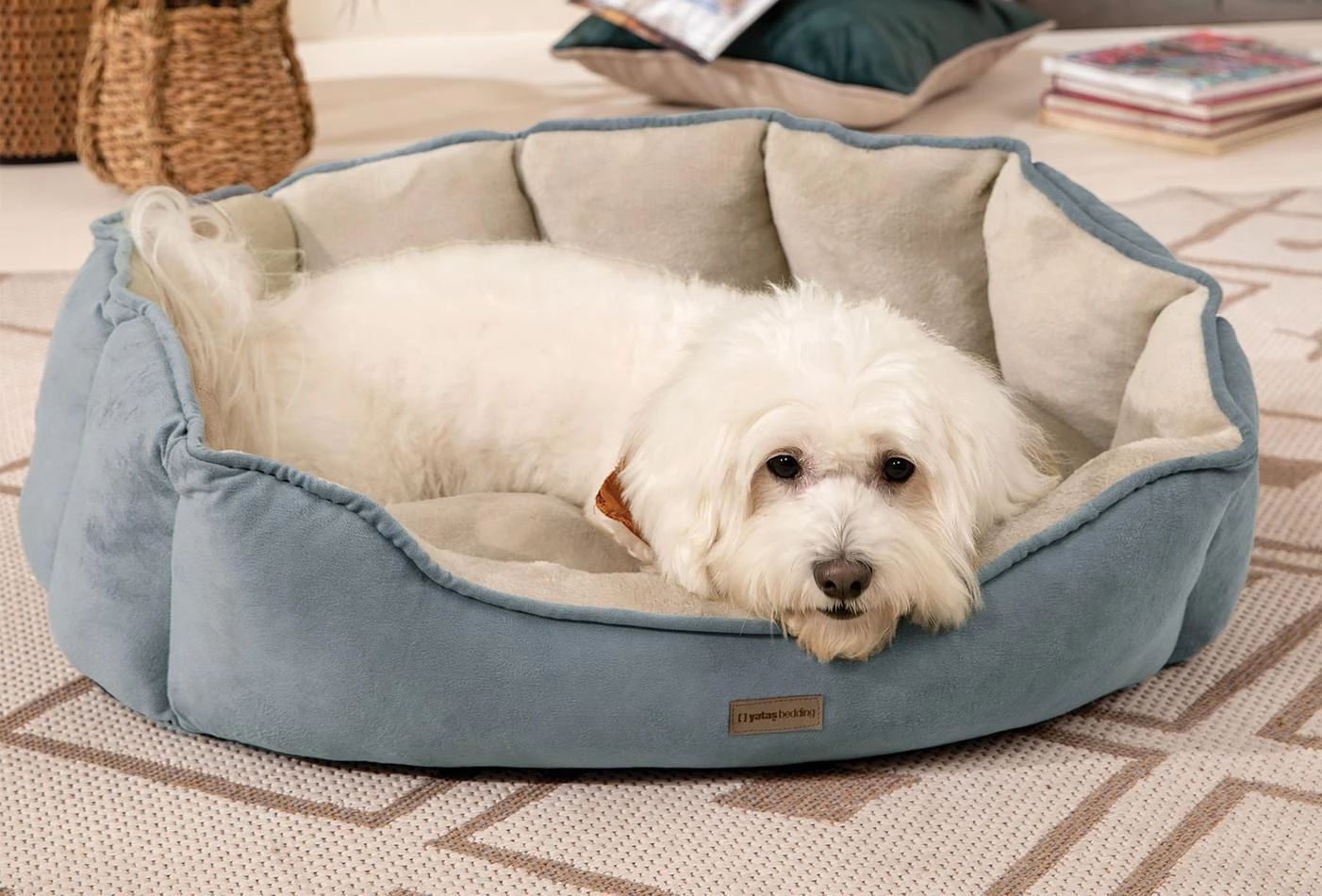 Легло за домашни любимци «Oscar»