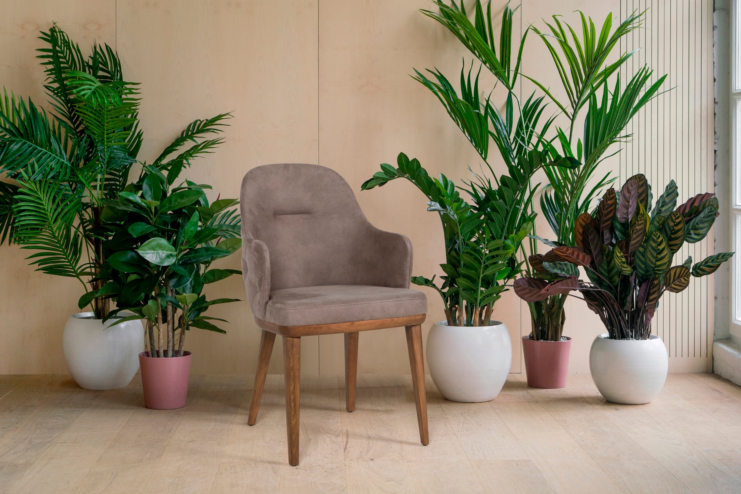 Трапезен стол Ralica Lidya Plus (6895127134404)