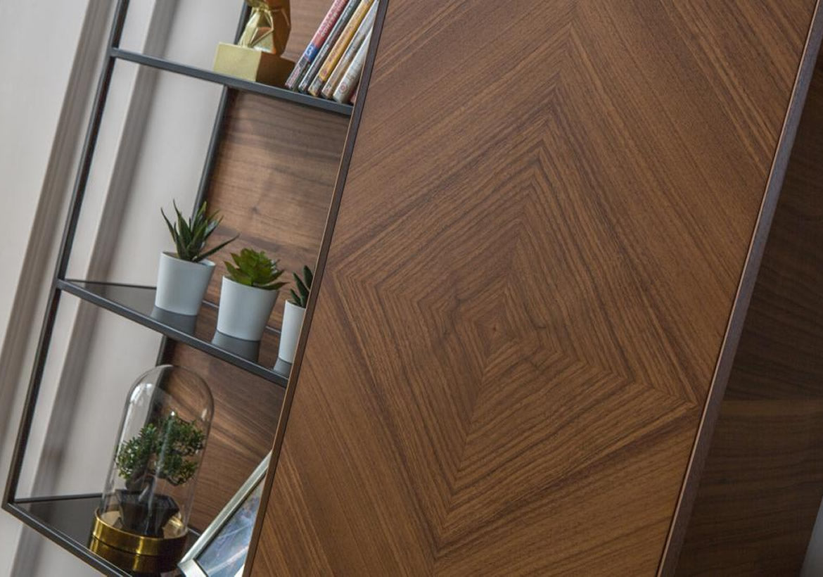 ТВ секция «Aden»